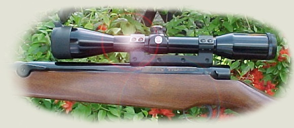 optyka2e.jpg (49353 bytes)